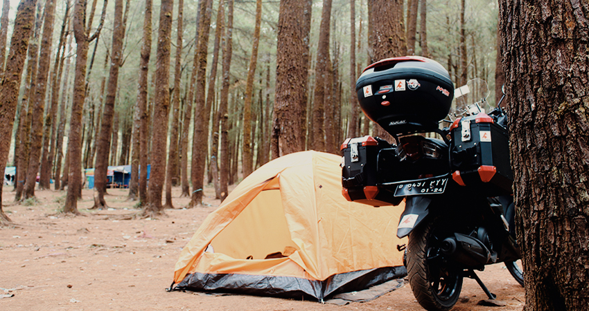 Pinus Lembanna Area Camping Di Kaki Gunung Bawakaraeng 3816