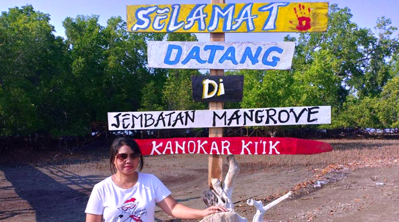 Mangrove-Motaain